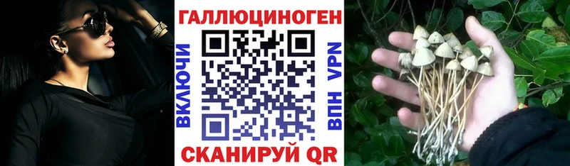 Галлюциногенные грибы Magic Shrooms  блэк спрут ССЫЛКА  Заинск 